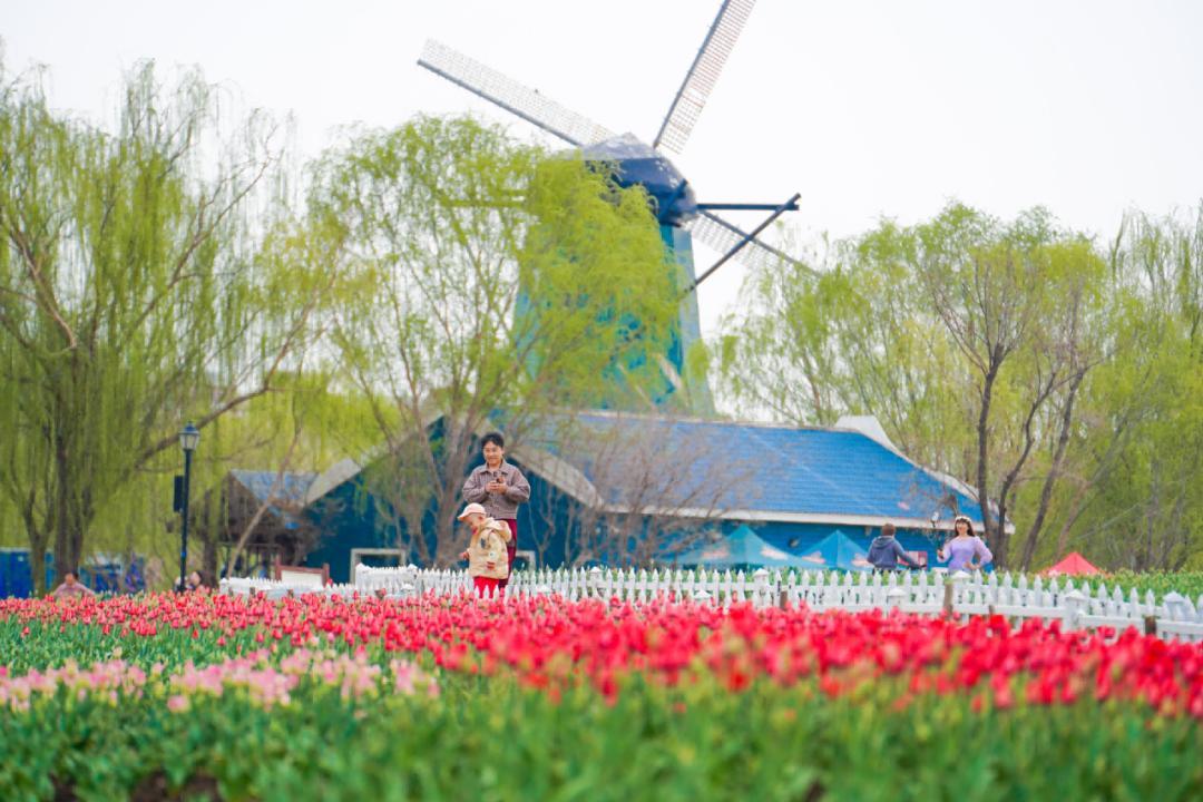 Binzhou Travel Guide 2025: Complete Guide to 10 Treasure Scenic Spots and Tourist Attractions in Binzhou