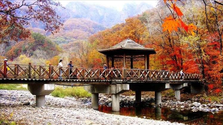 Dandong Travel Guide 2025: A Practical Guide to Dandong Tourism