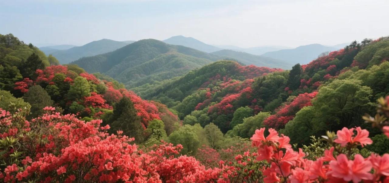 Huaihua Travel Guide 2025: A Guide to Hidden Gems Around Huaihua