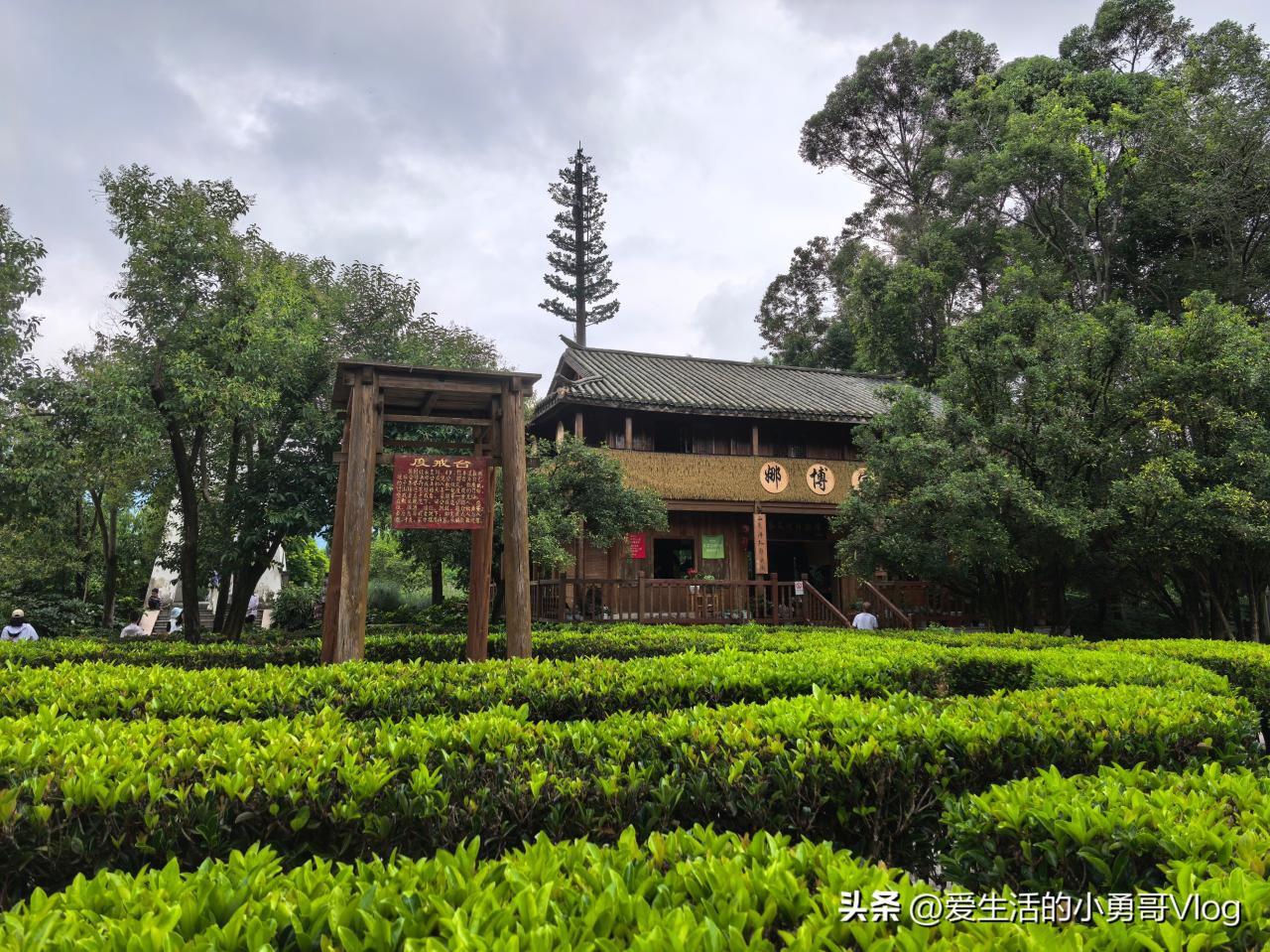 Yunnan Nationalities Village Guide: Experience the Thousand-Year Culture of 26 Ethnic Groups by Dianchi Lake