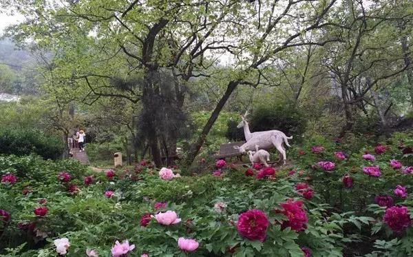 Xi'an Huxian Tourism Guide: Huxian Tourist Attractions