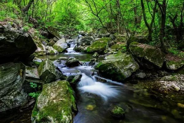 Xi'an Huxian Tourism Guide: Huxian Tourist Attractions