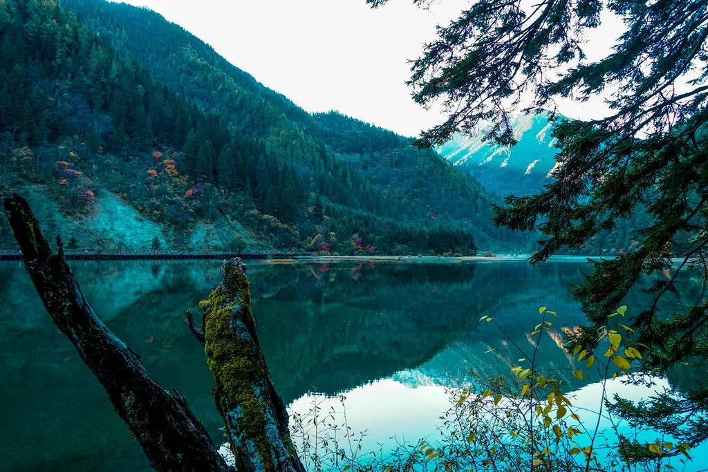 Sichuan Travel Itinerary: 7-Day Sichuan Travel Guide and Beautiful Scenery