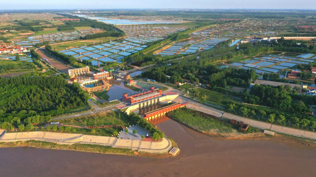 Binzhou Travel Guide 2025: Complete Guide to 10 Treasure Scenic Spots and Tourist Attractions in Binzhou