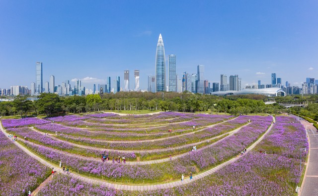 Shenzhen Travel Guide: Top 10 Must-Visit Attractions in Shenzhen