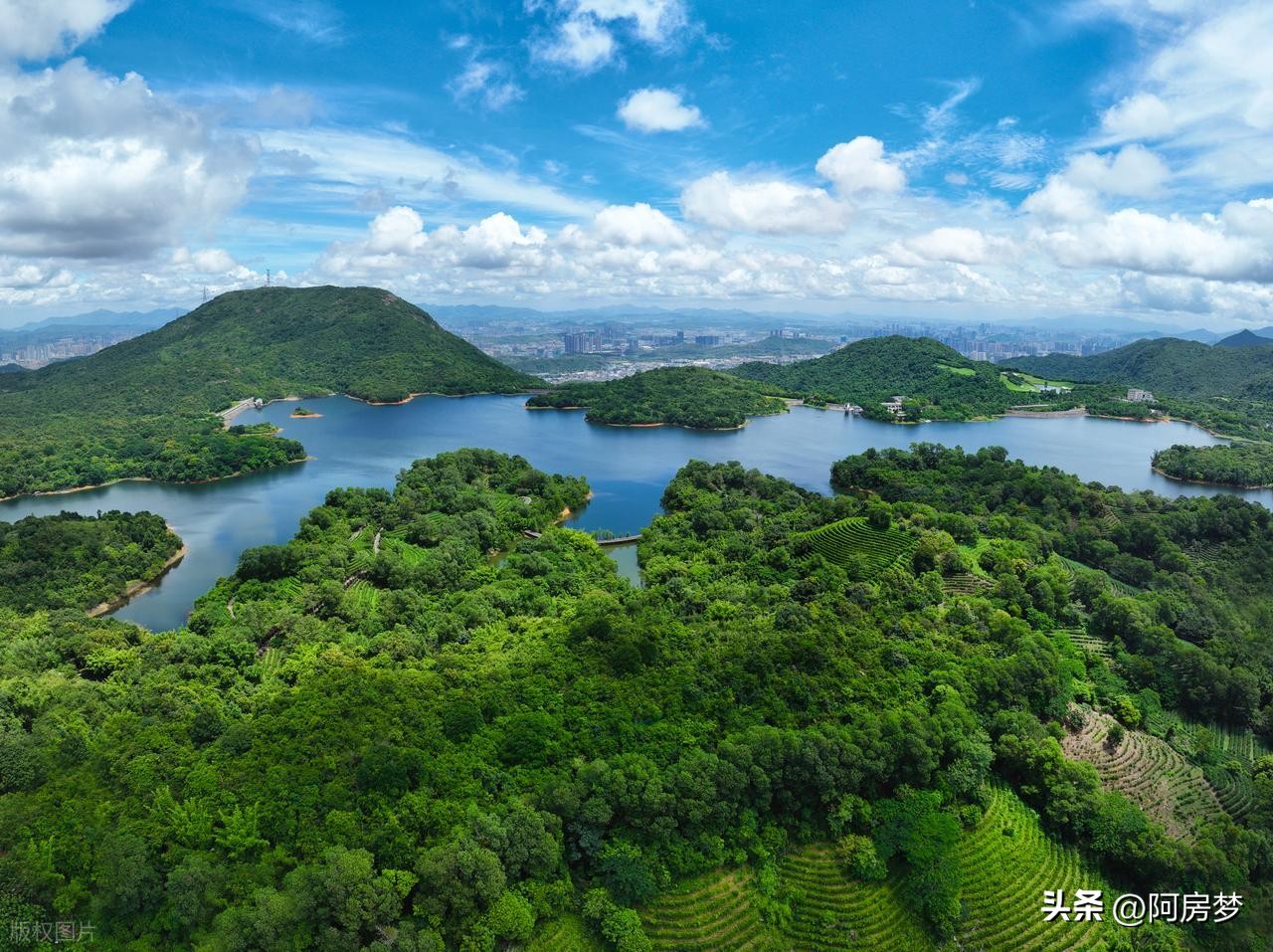 Summer Vacation Shenzhen Travel Complete Guide: The Most Detailed Shenzhen Travel Guide is Here!