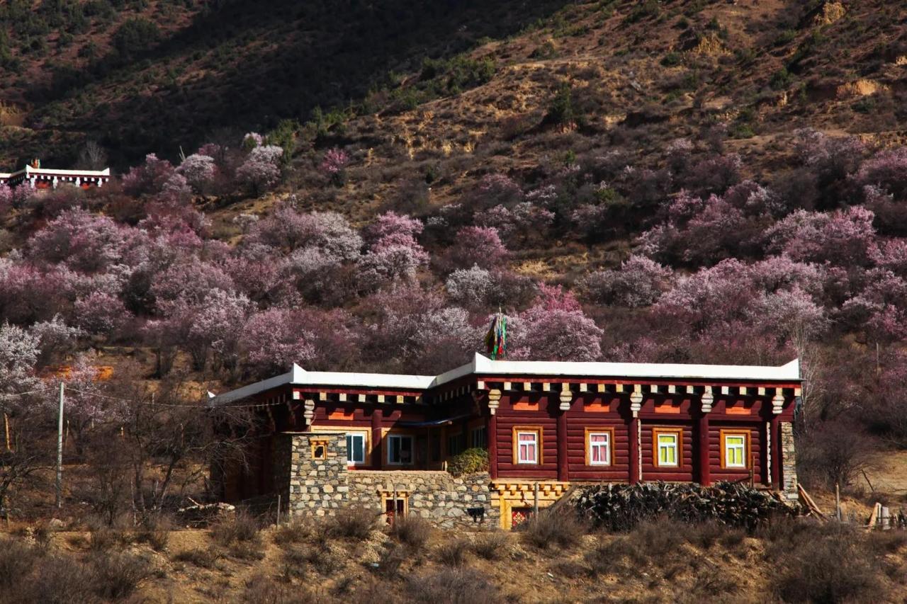 Sichuan Travel Itinerary: 7-Day Sichuan Travel Guide and Beautiful Scenery