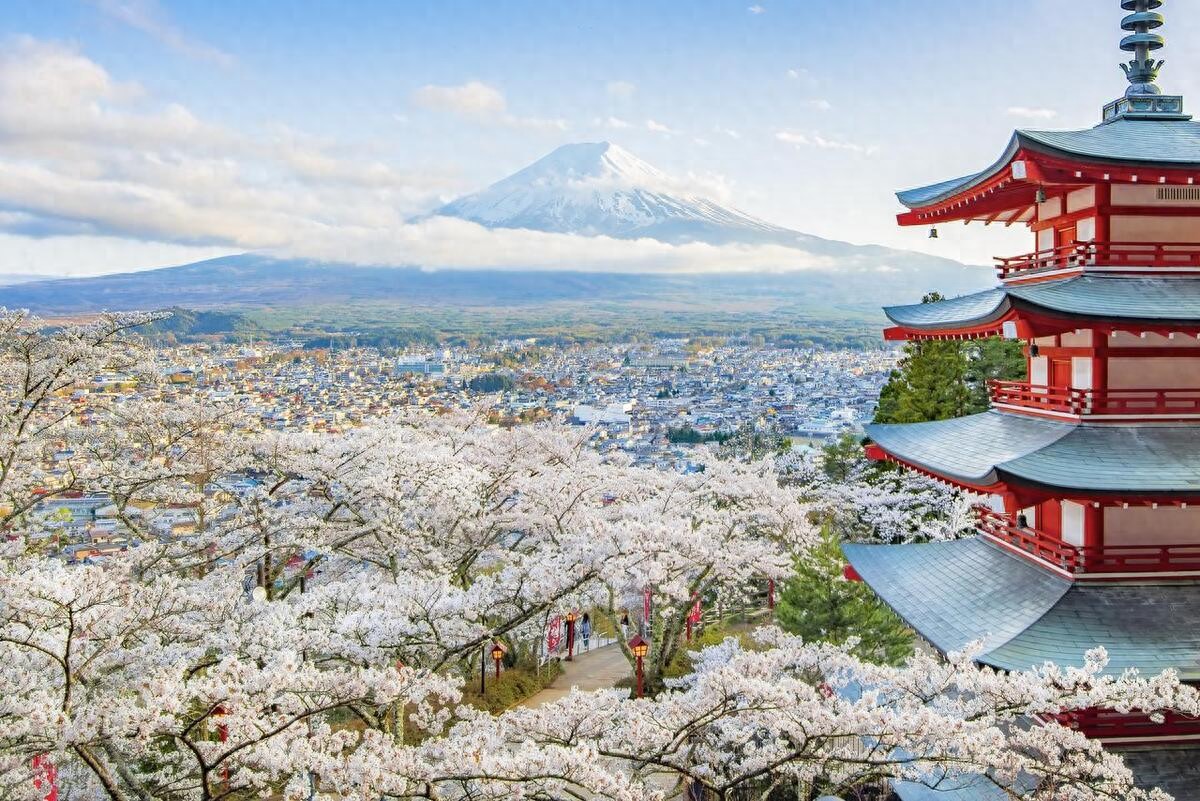 Japan DIY Travel Guide: A Comprehensive Guide to Transportation, Accommodation, Shopping, and Attractions