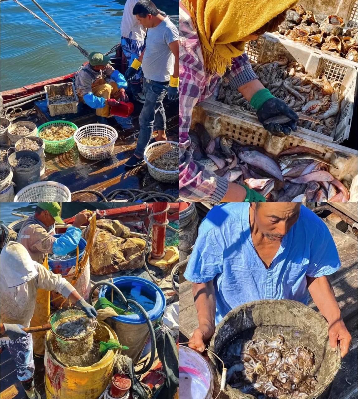 The Complete Guide to Pulandian Mountain-Sea Hot Springs: 5 Hidden Attractions + 5 Authentic Local Delicacies