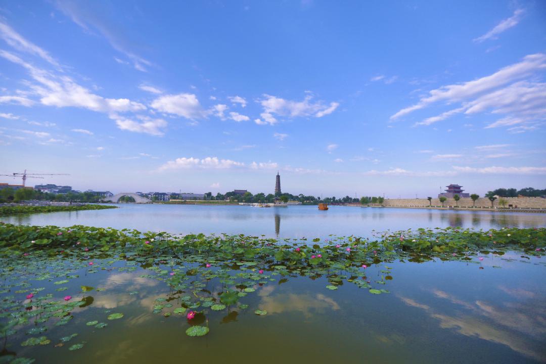 Binzhou Travel Guide 2025: Complete Guide to 10 Treasure Scenic Spots and Tourist Attractions in Binzhou