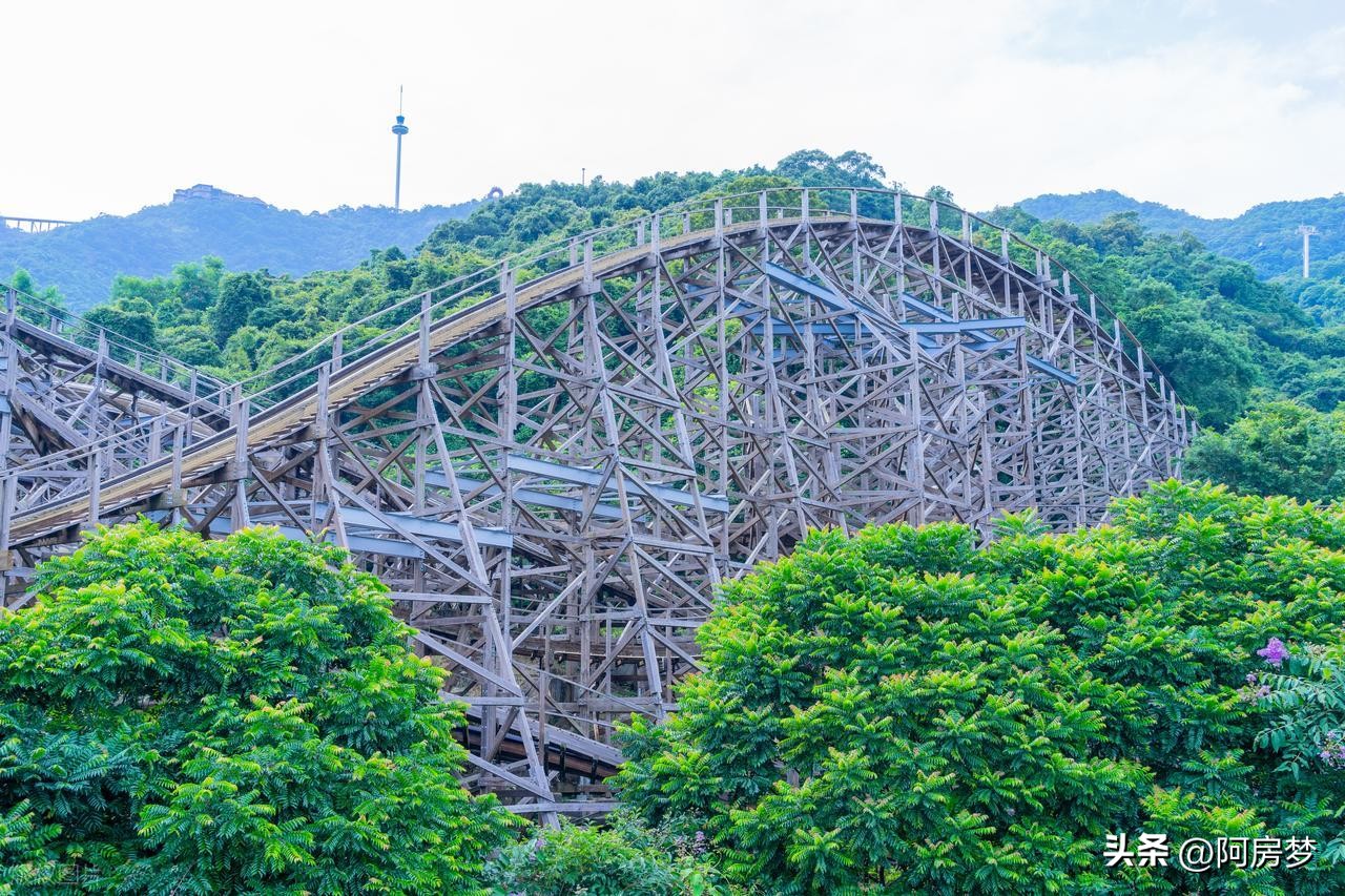 Summer Vacation Shenzhen Travel Complete Guide: The Most Detailed Shenzhen Travel Guide is Here!