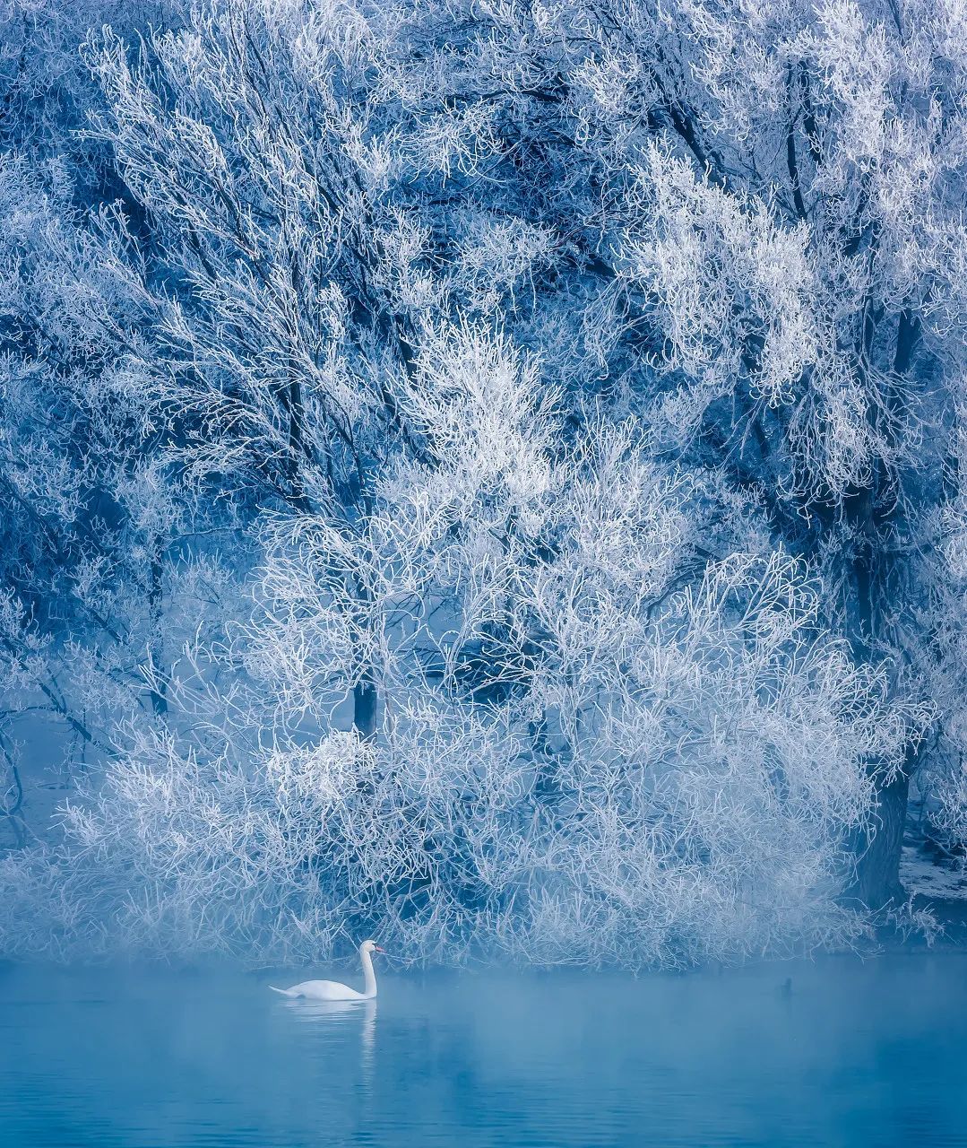 best best places: China's 30 most beautiful places like a fairyland on earth