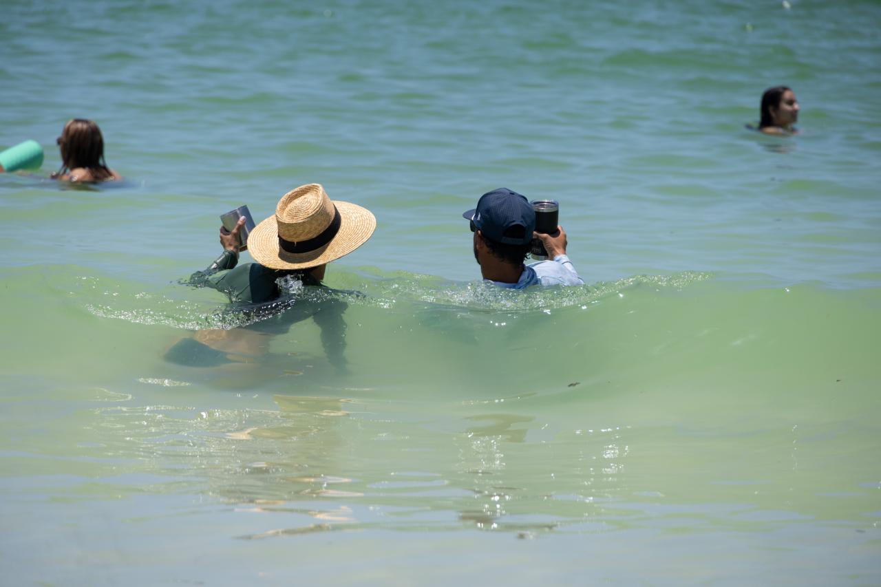 funnest places to visit in the us: Marco Island US Coastal Tour