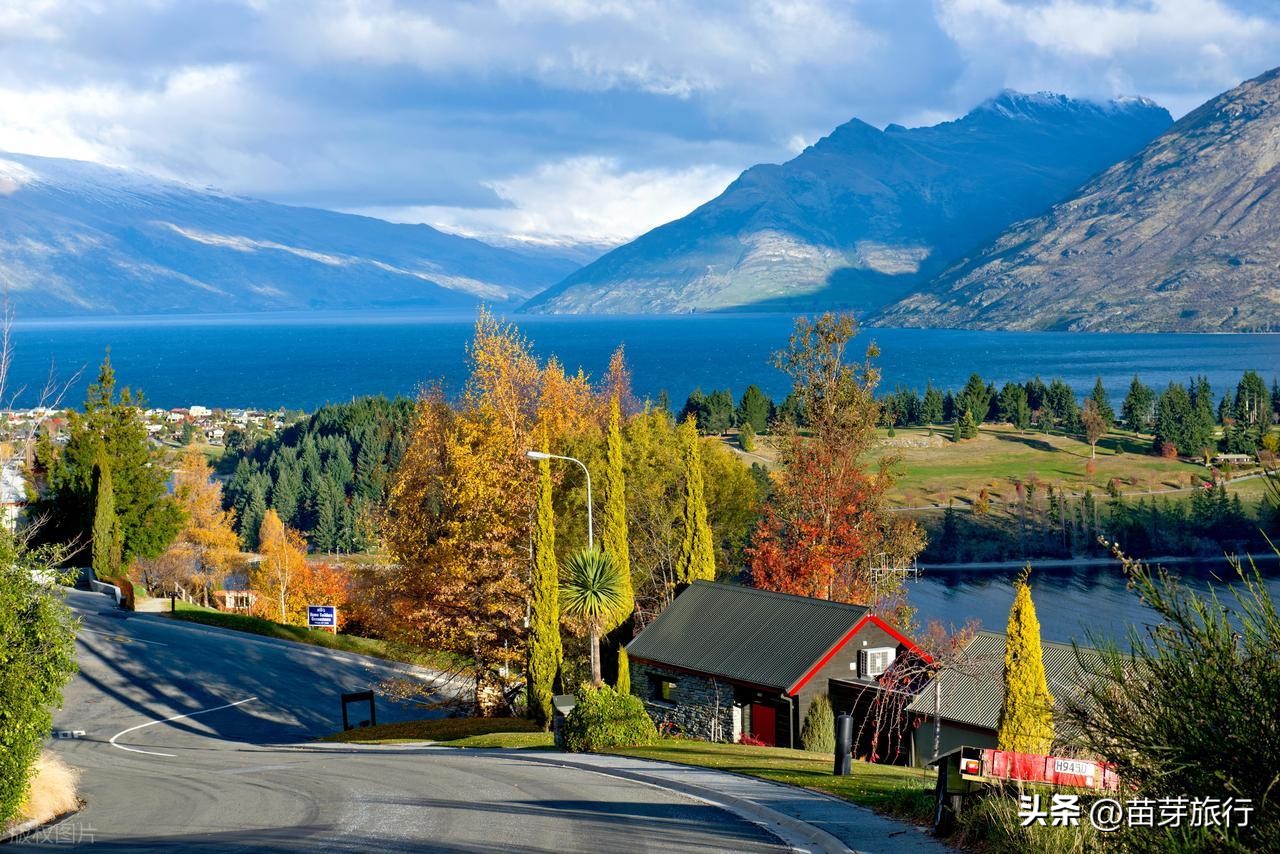 new zealand travel|Some basic information about New Zealand