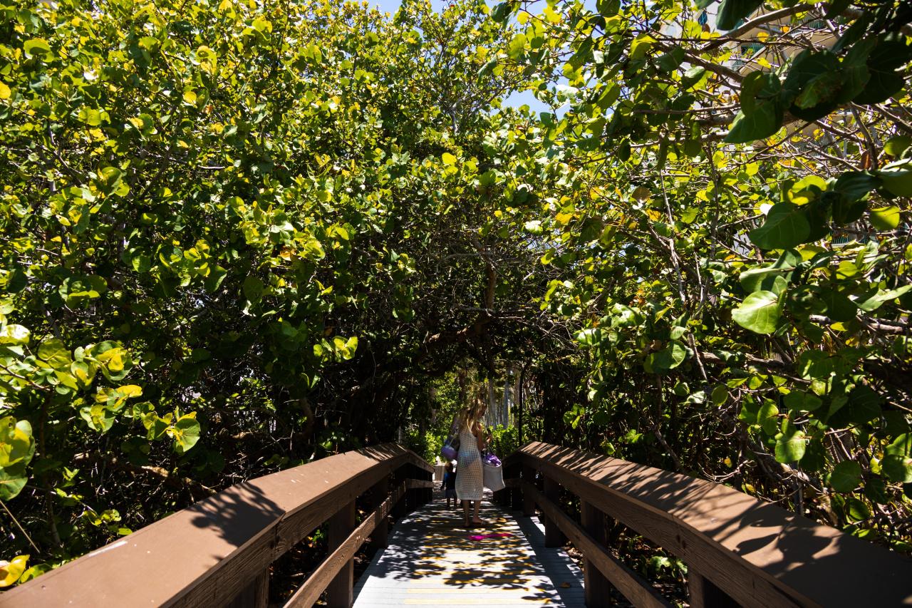 funnest places to visit in the us: Marco Island US Coastal Tour