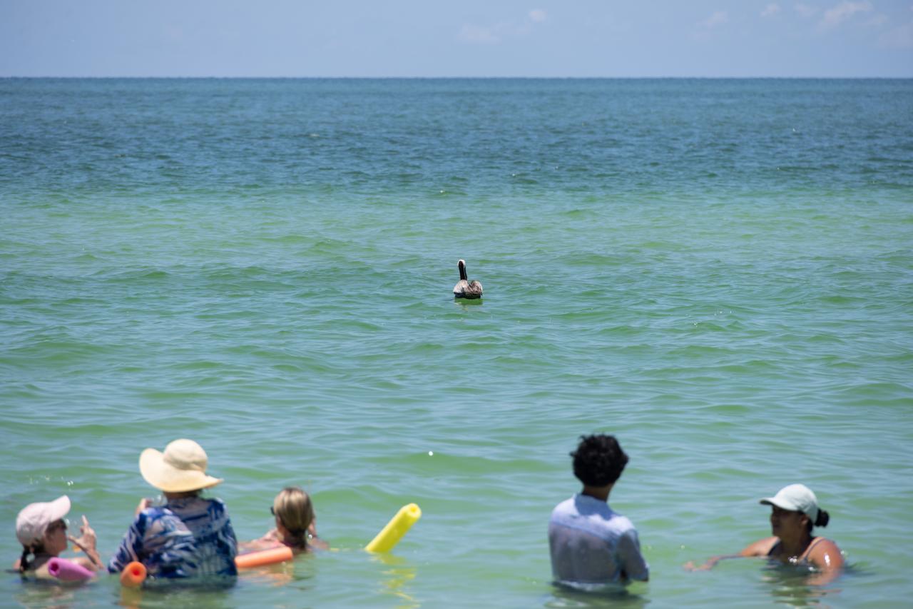 funnest places to visit in the us: Marco Island US Coastal Tour