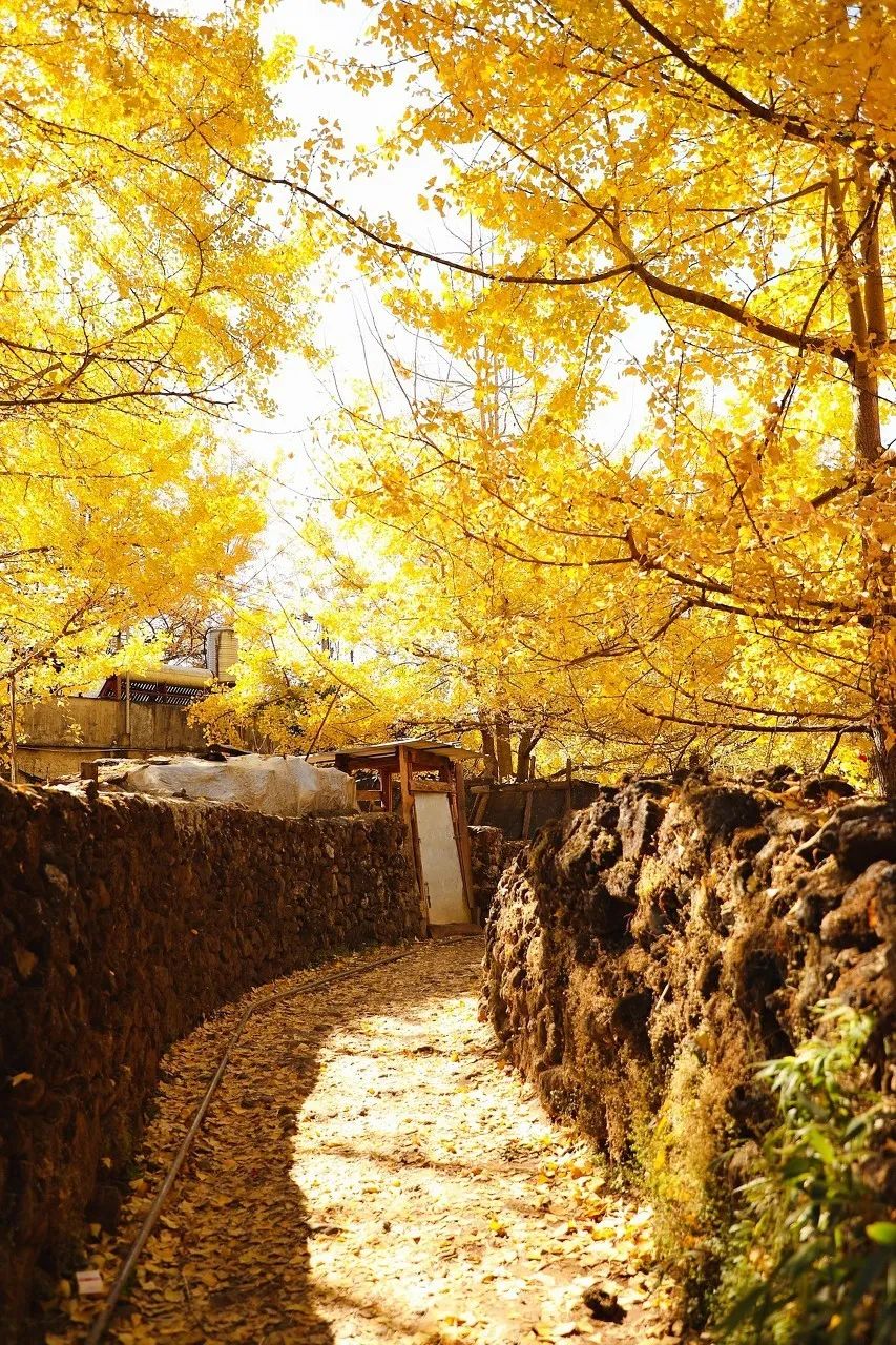 best best places: China's 30 most beautiful places like a fairyland on earth